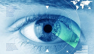 全飛、半飛、準(zhǔn)分子的區(qū)別